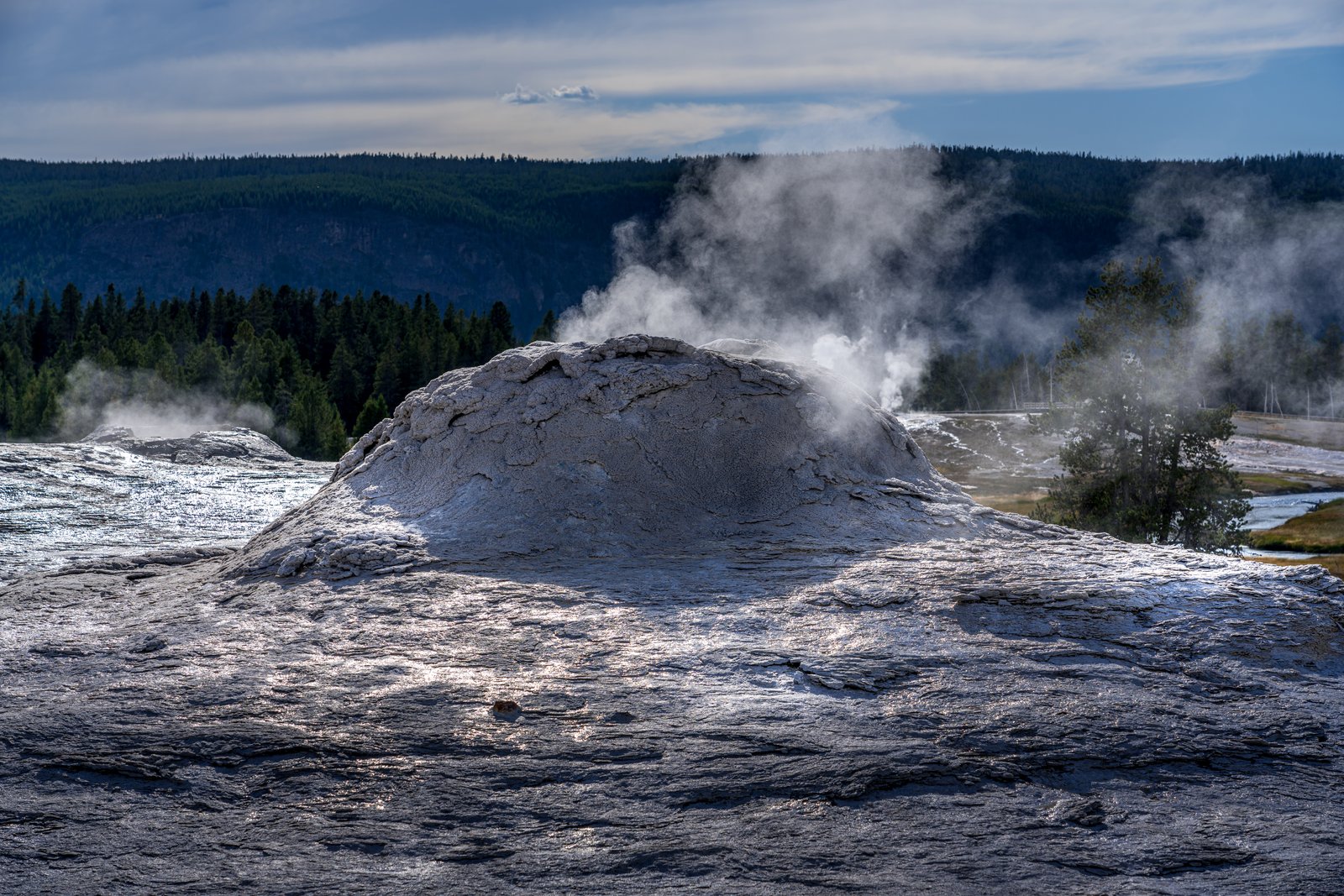 Lion Geyser in the Upper Geyser Basin of Yellowstone