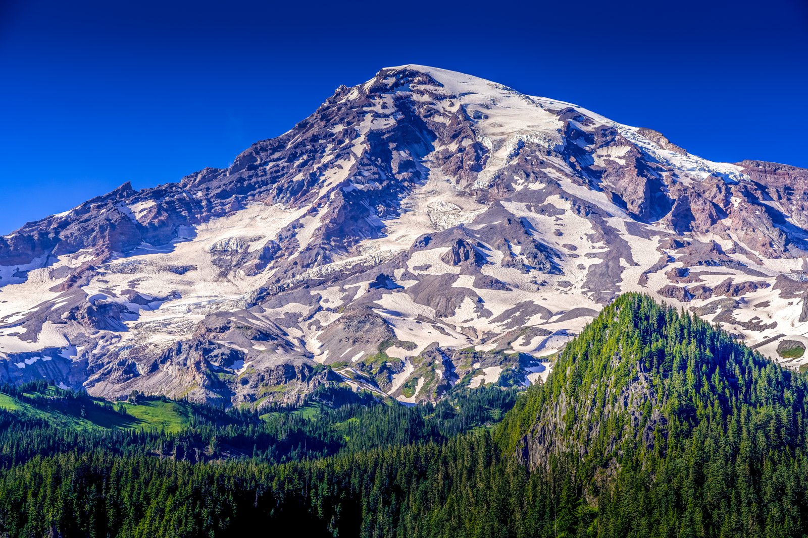 Mt Rainier Washington