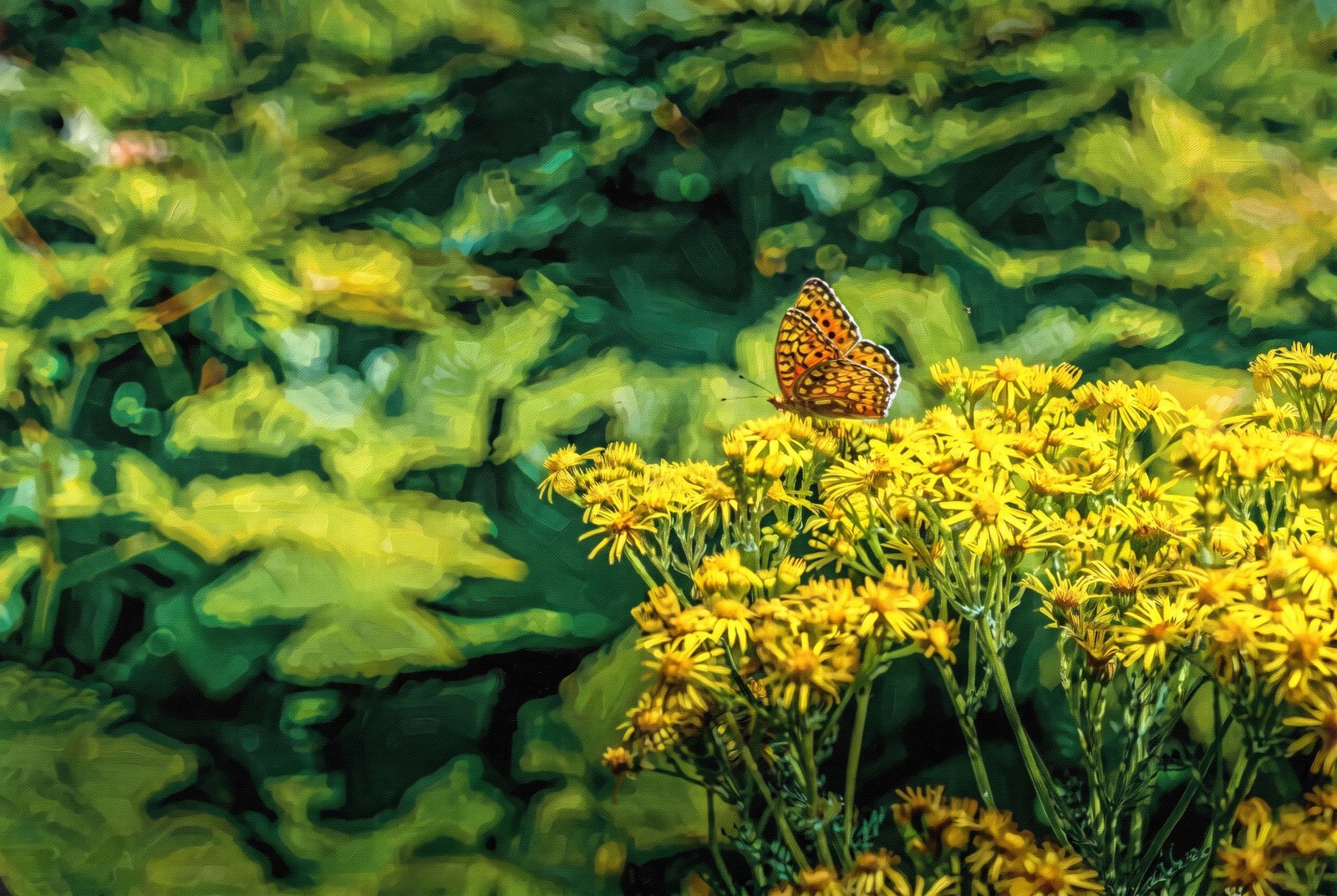 Butterfly, Impressionist