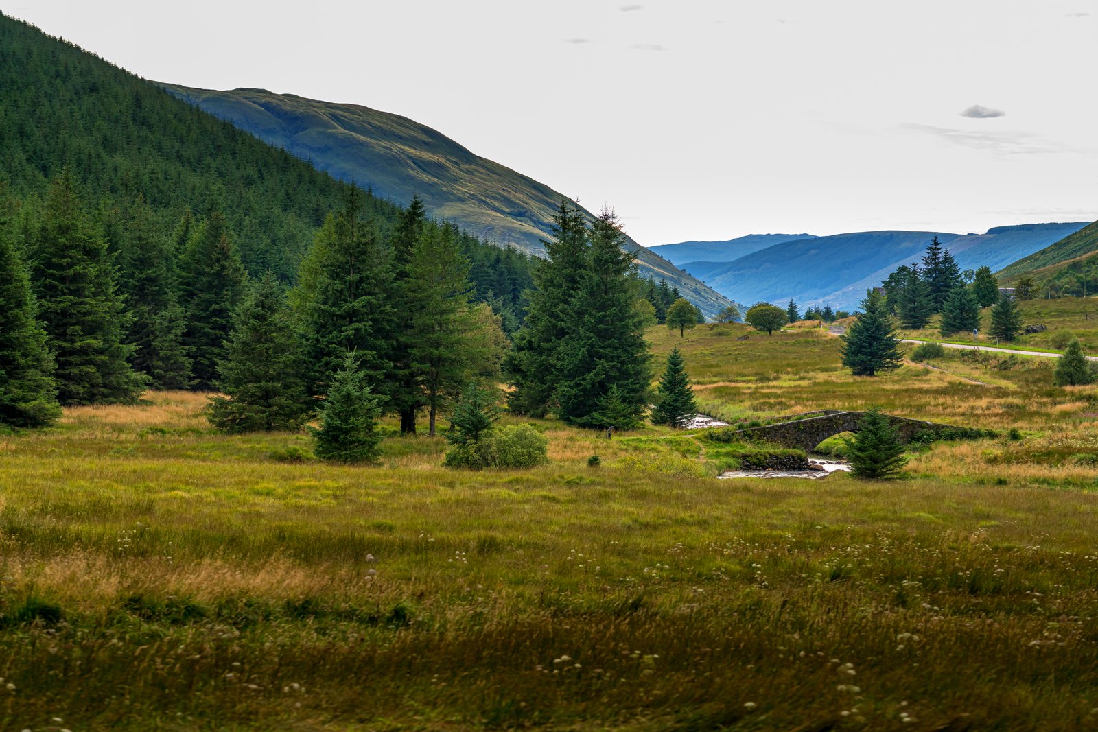Scotland