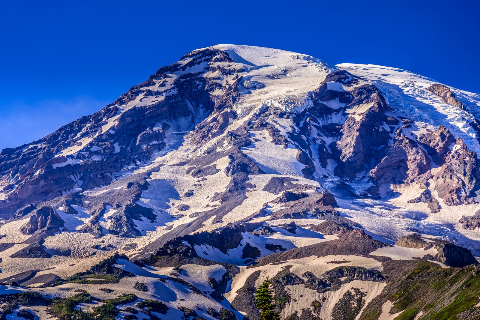 Mt Rainier WA