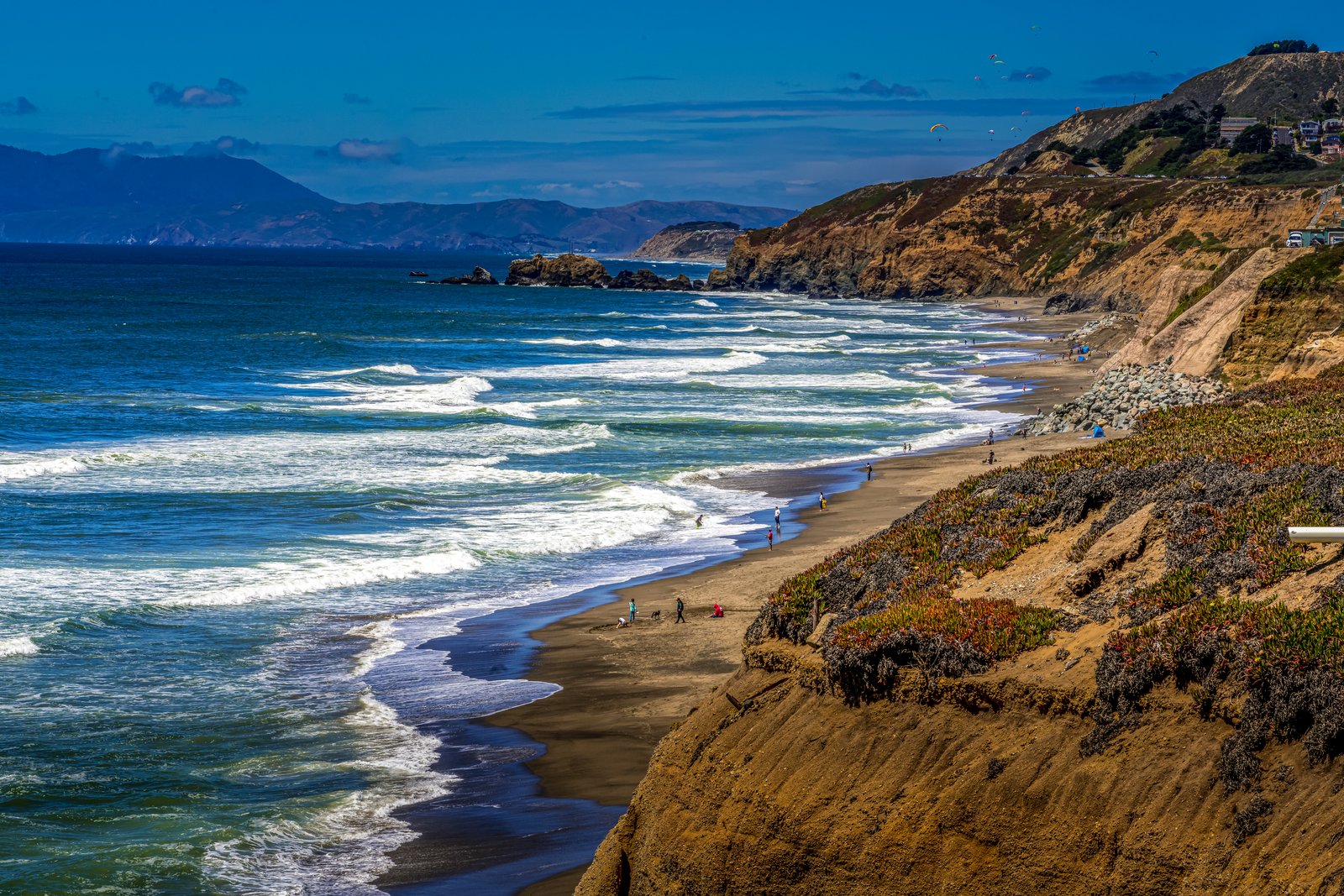 Pacificia California Coast