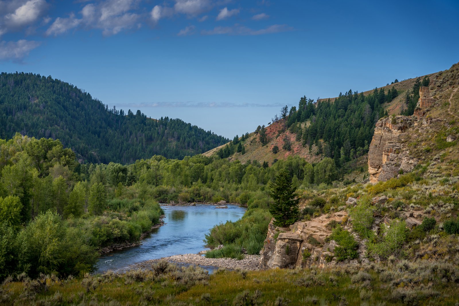 Jackson Hole River
