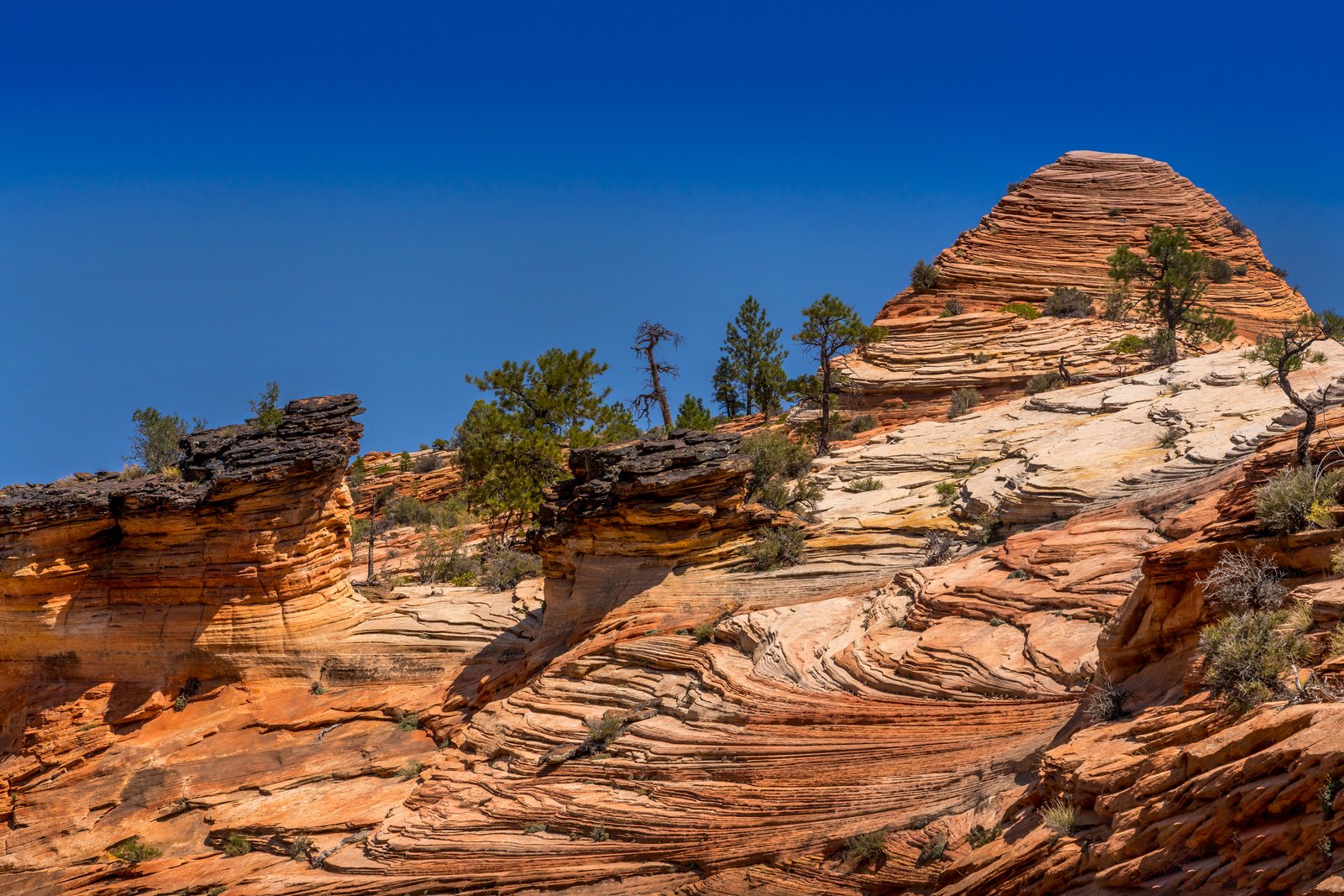 Zion National Park Utah