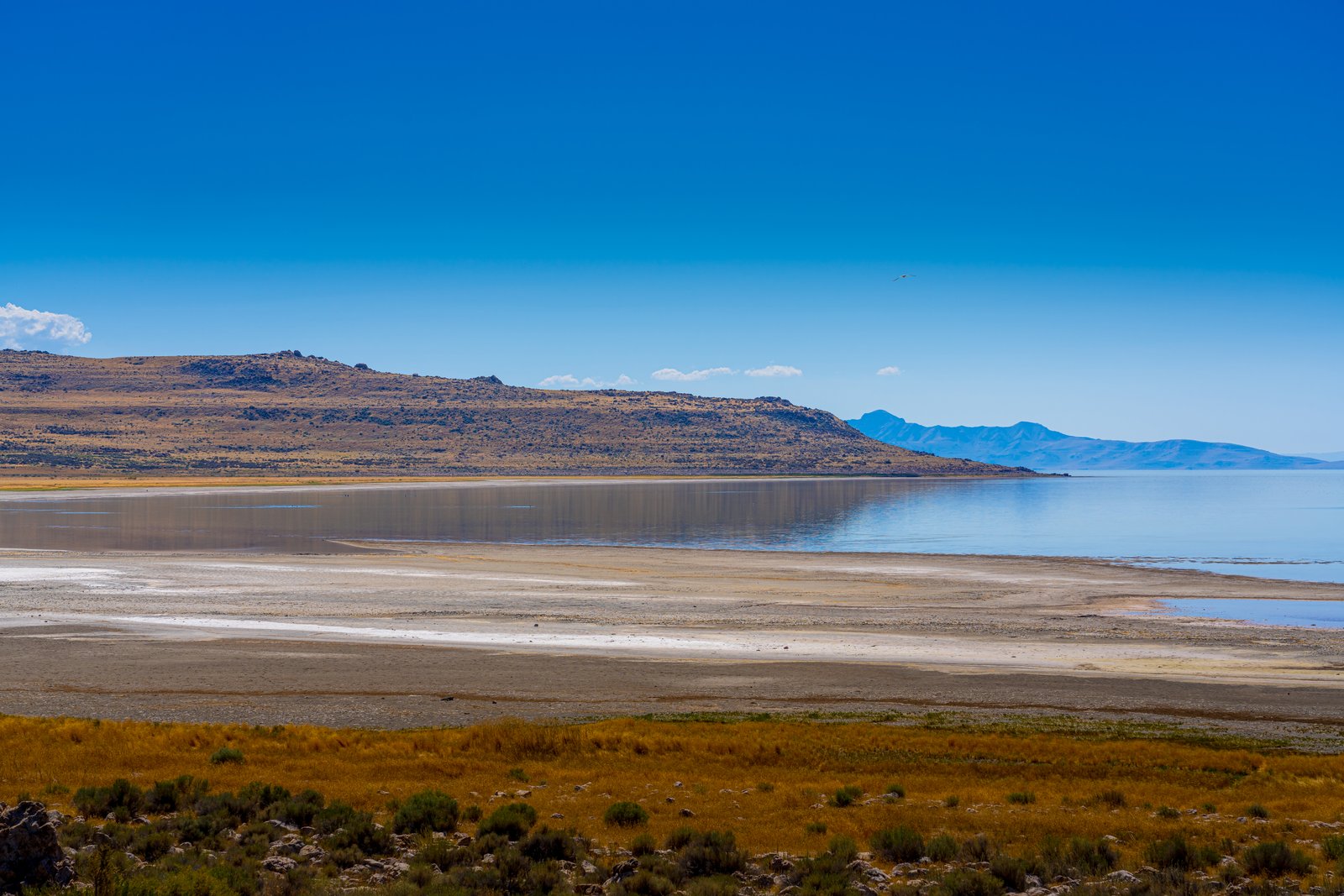 Farmington Bay Utah
