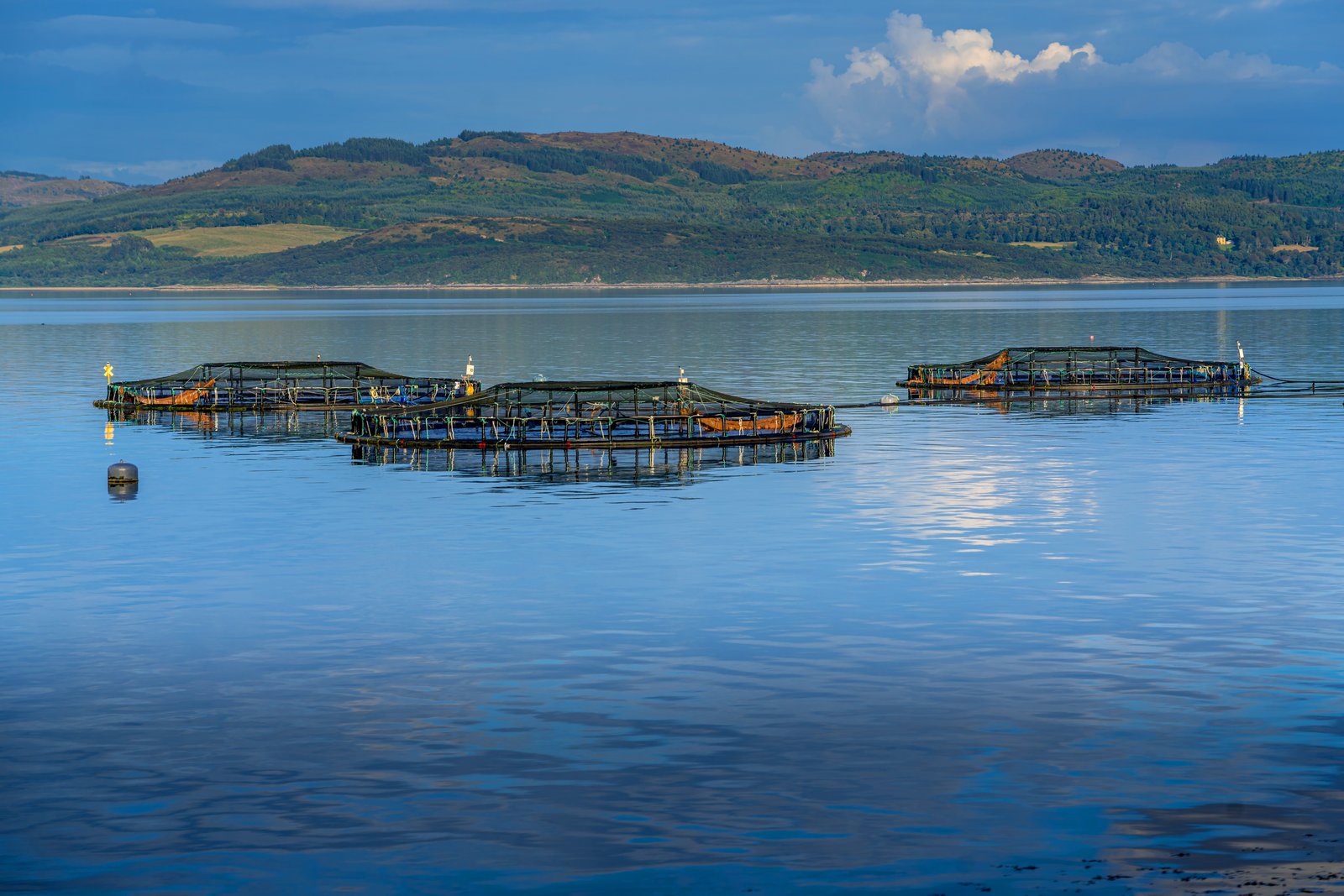 Scotland