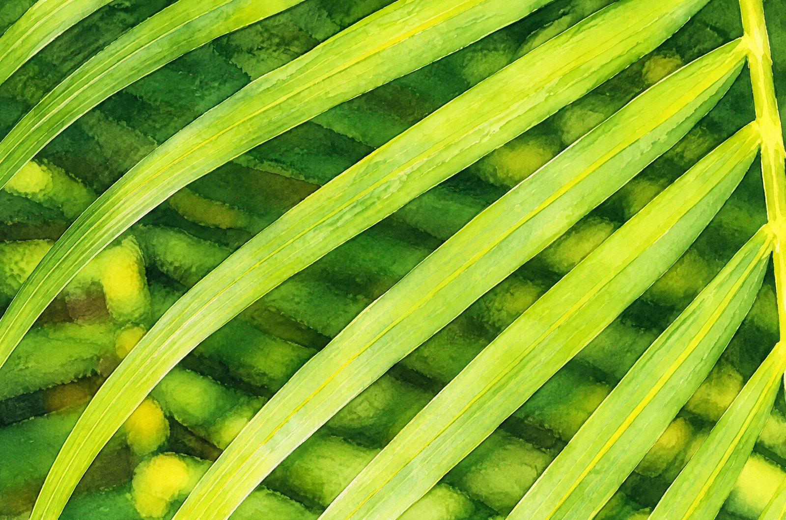 1361 Palm Leaf, Watercolor