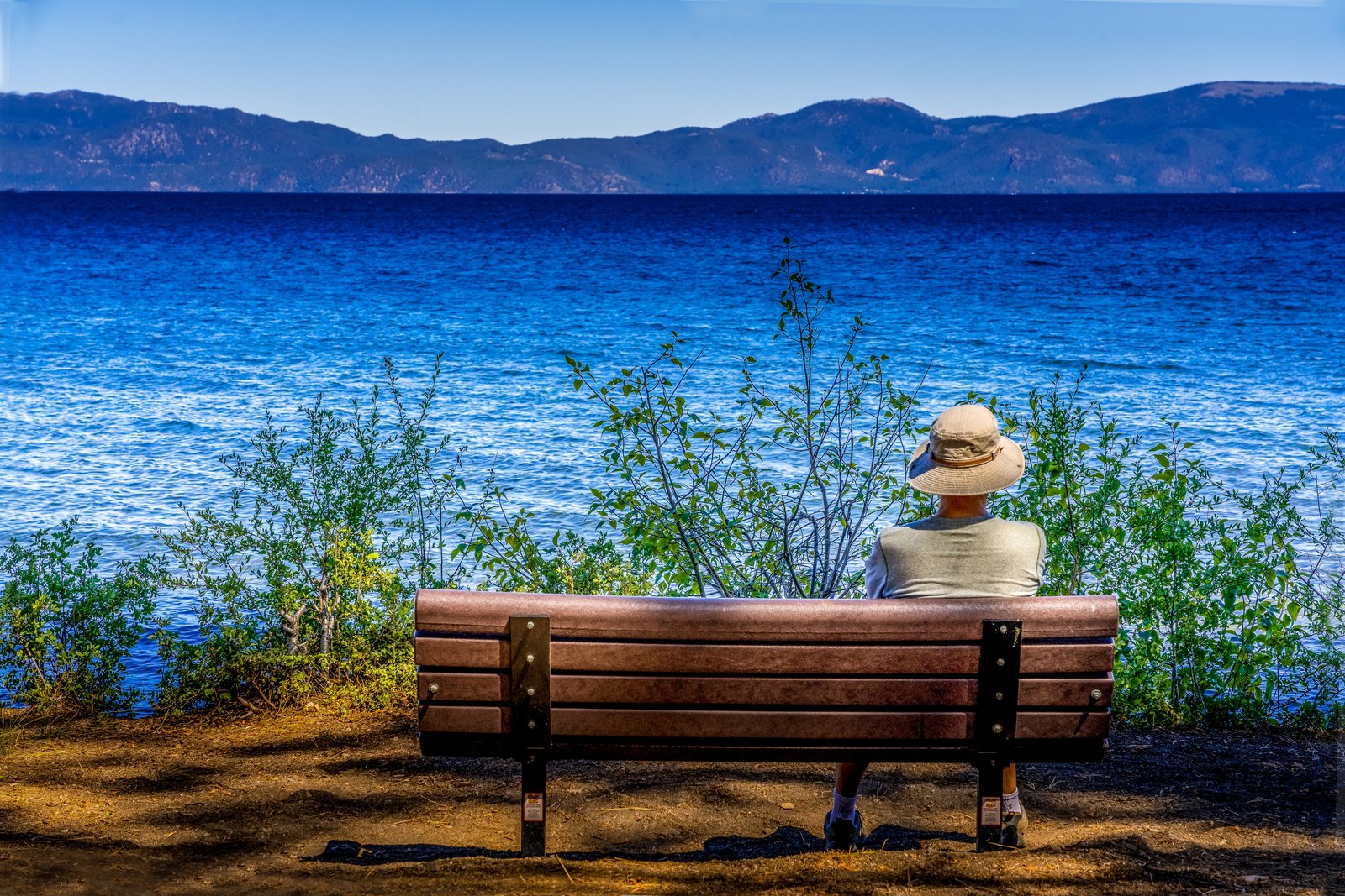 Lazy Day at Lake Tahoe