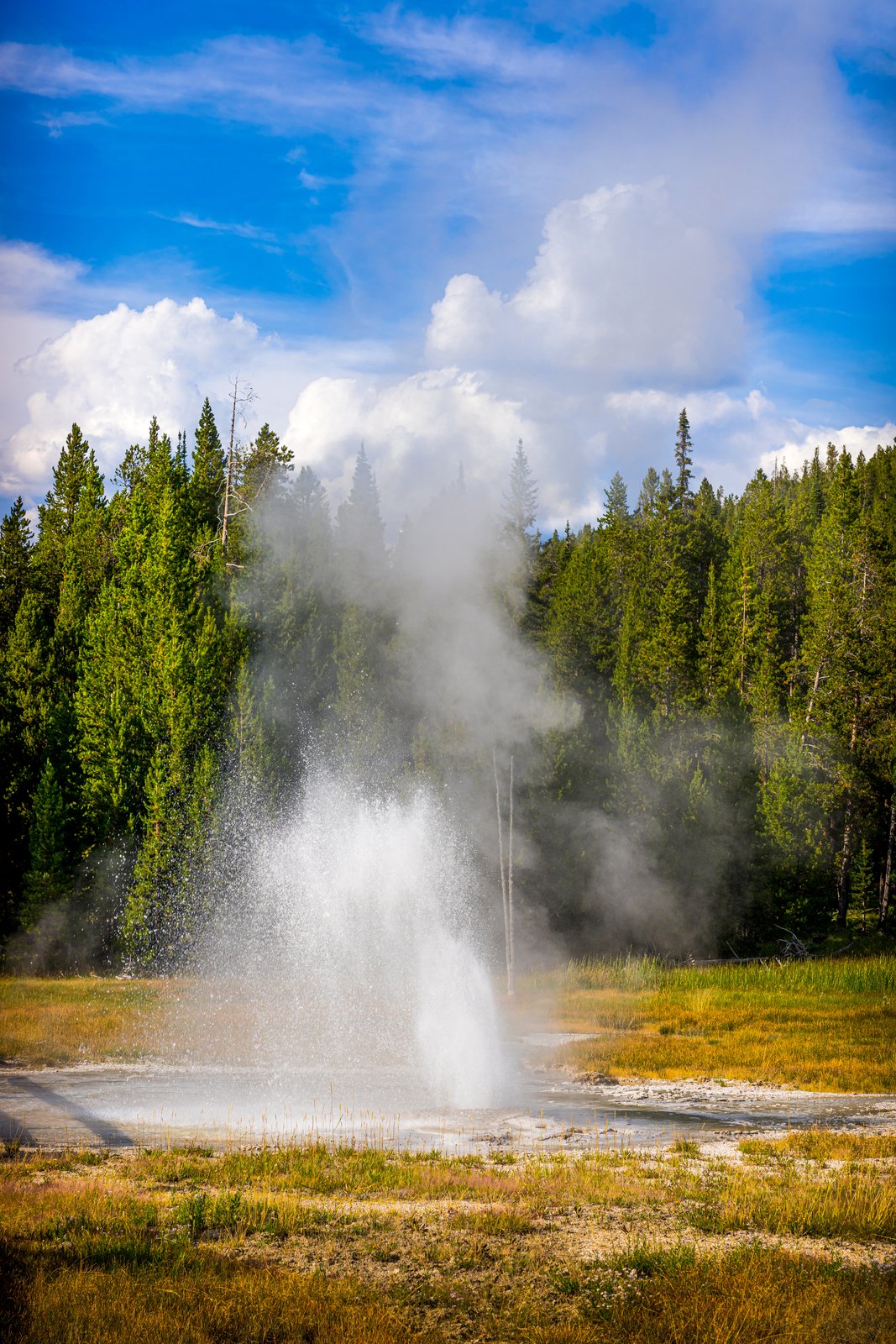 Yellowstone Aurum Geyser