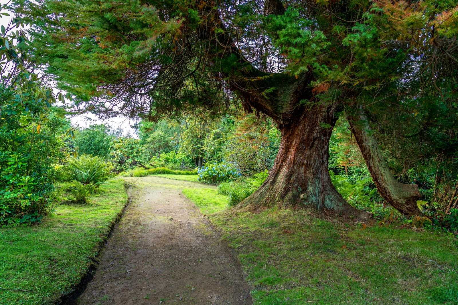 Scotland