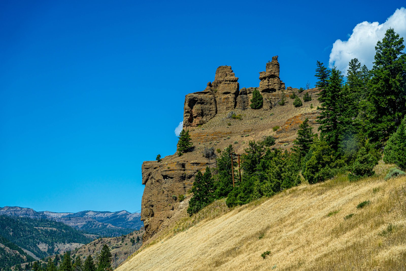 Yellowstone Hillside