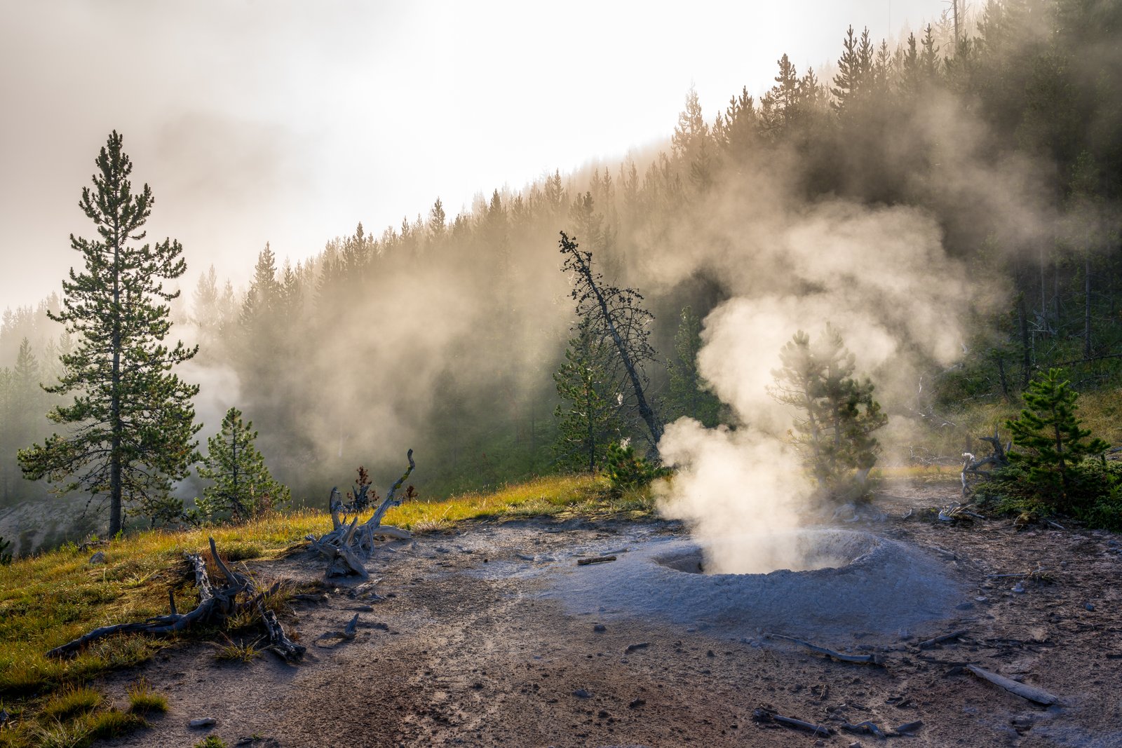 Yellowstone National Park, Wyoming