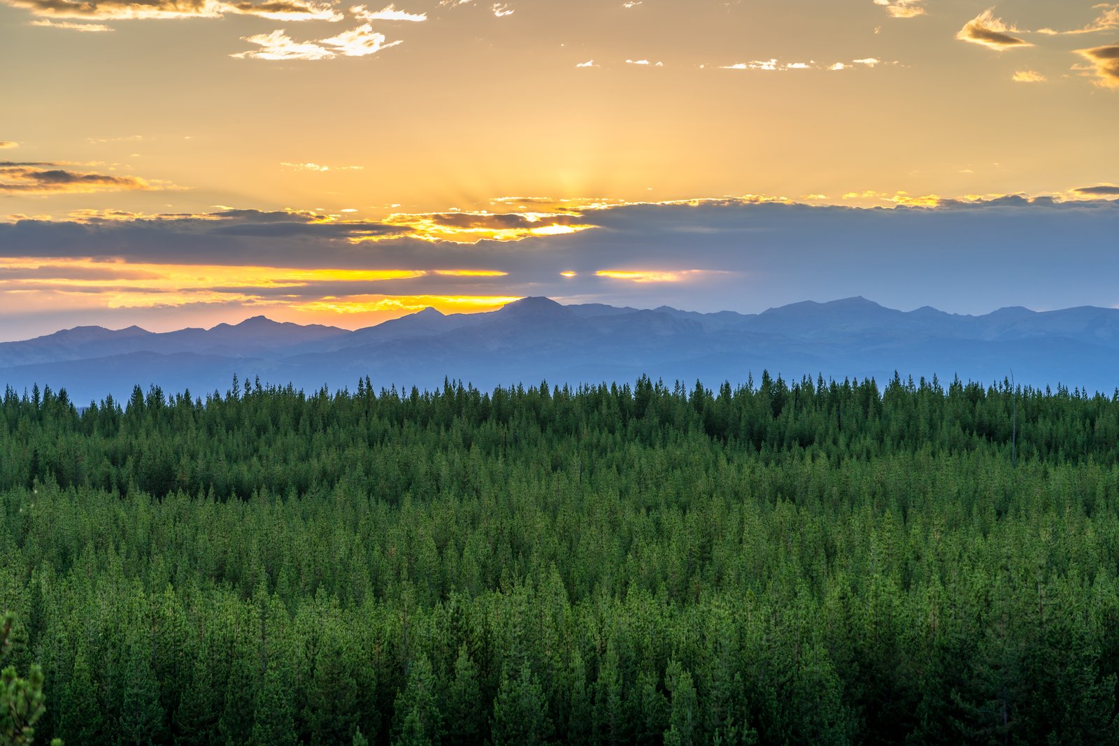 Yellowstone Sunset
