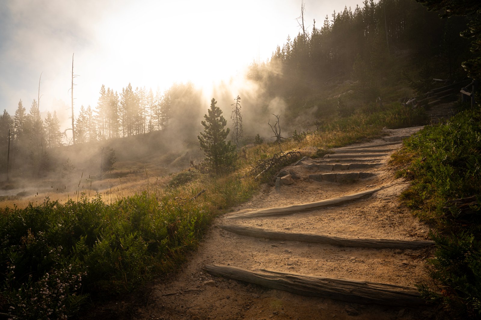Yellowstone National Park, Wyoming