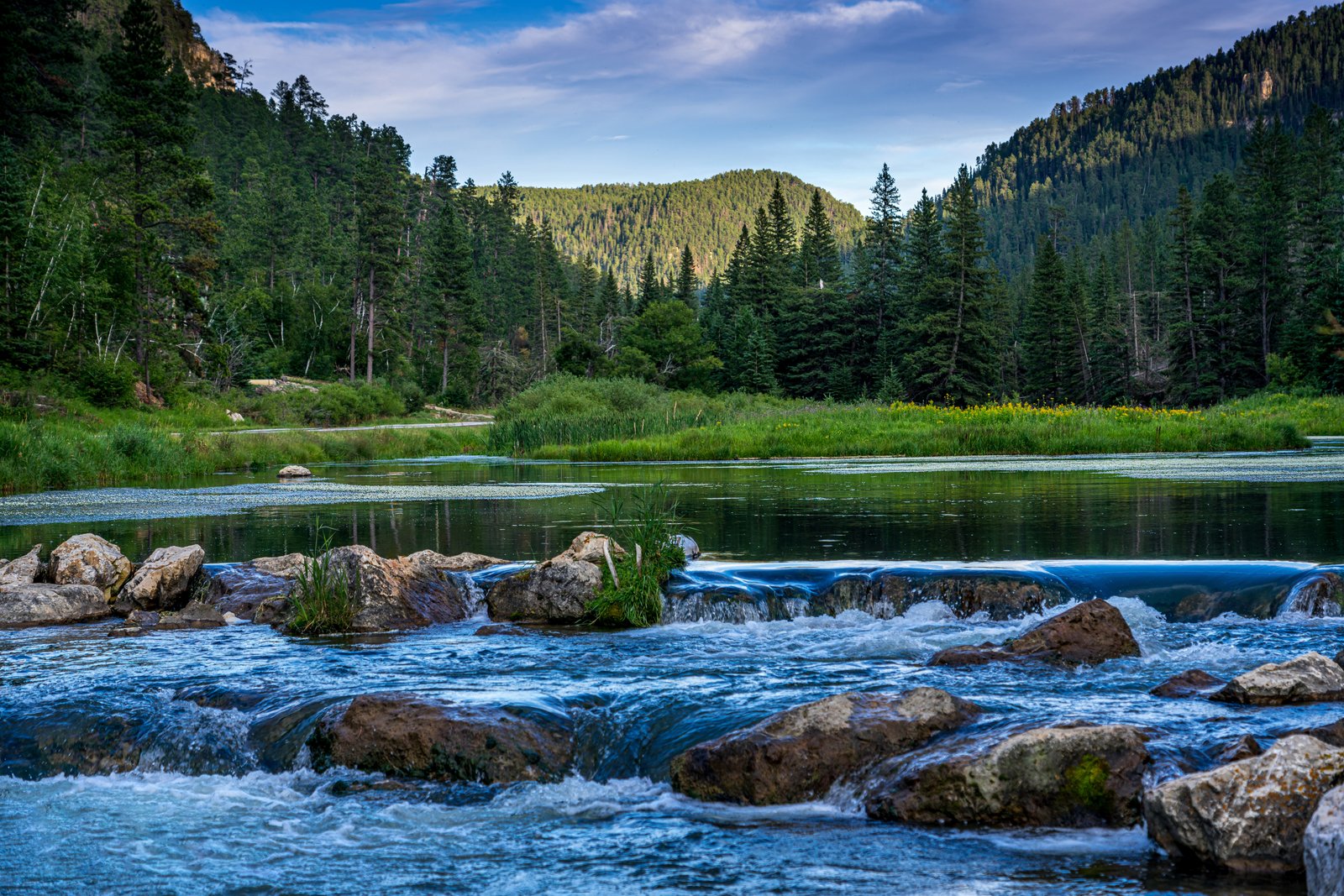 Black Hills Stream