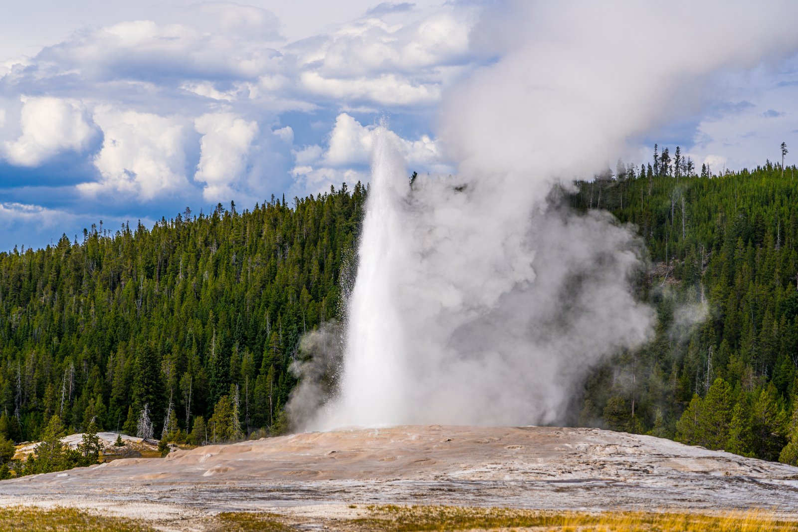 Old Faithful