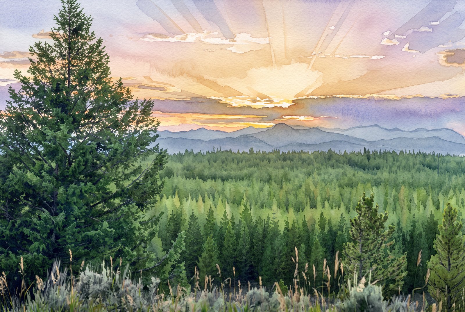 Yellowstone National Park, Wyoming