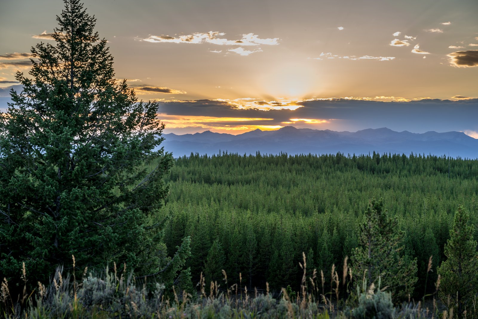 Yellowstone Sunset