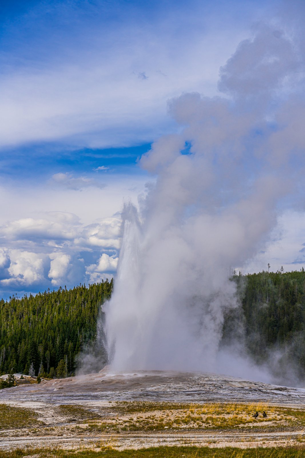 Old Faithful