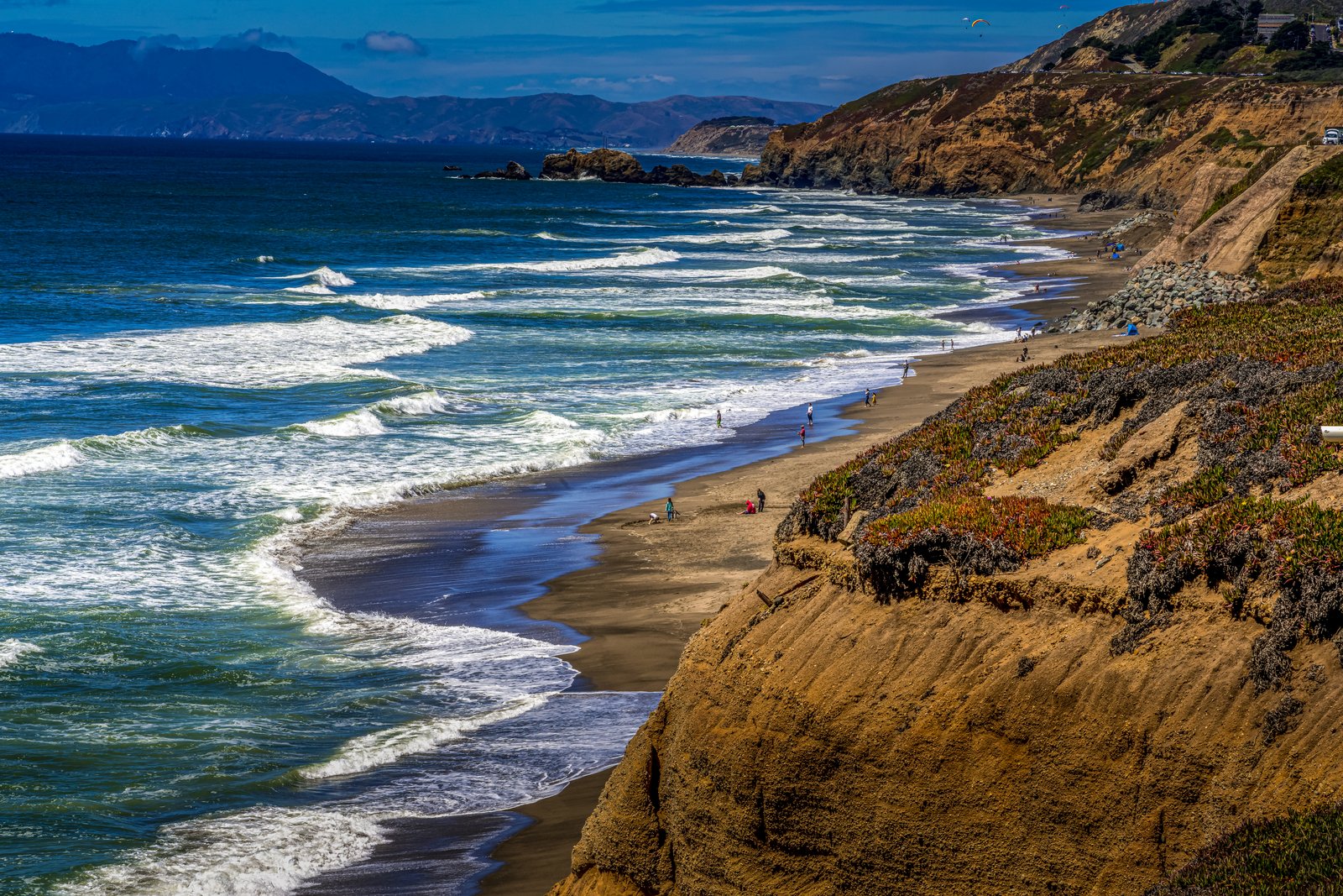 Pacificia California Coast
