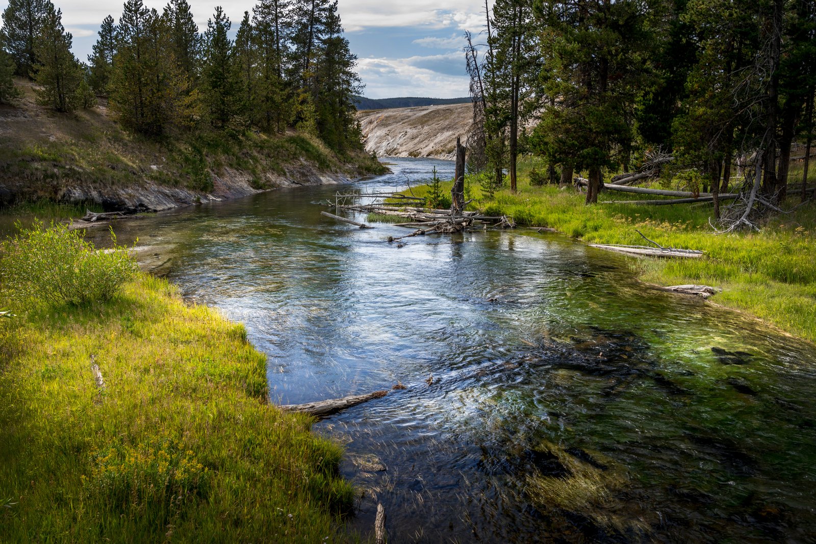Yellowstone River