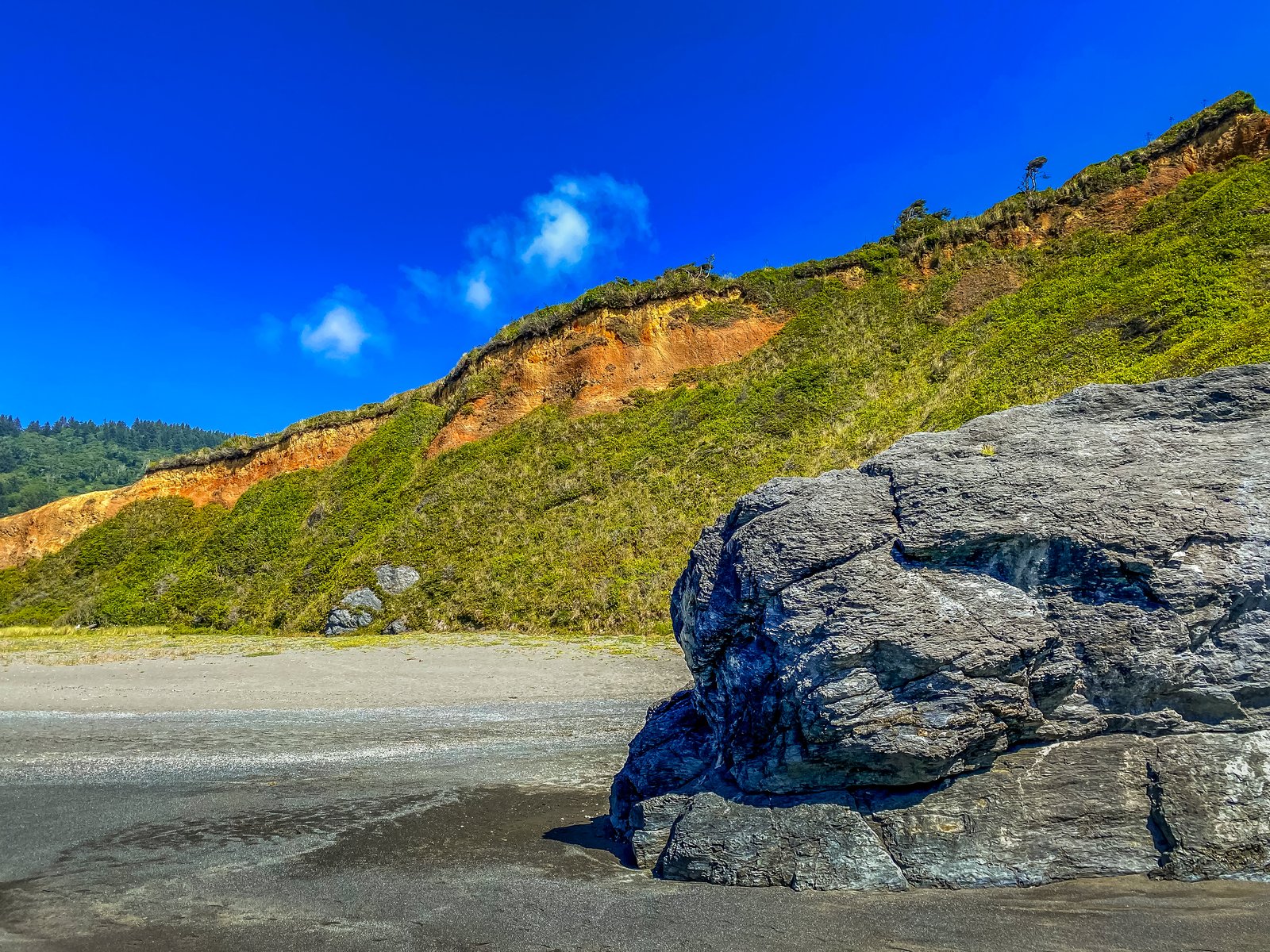 Humbolt Lagoon State Park CA