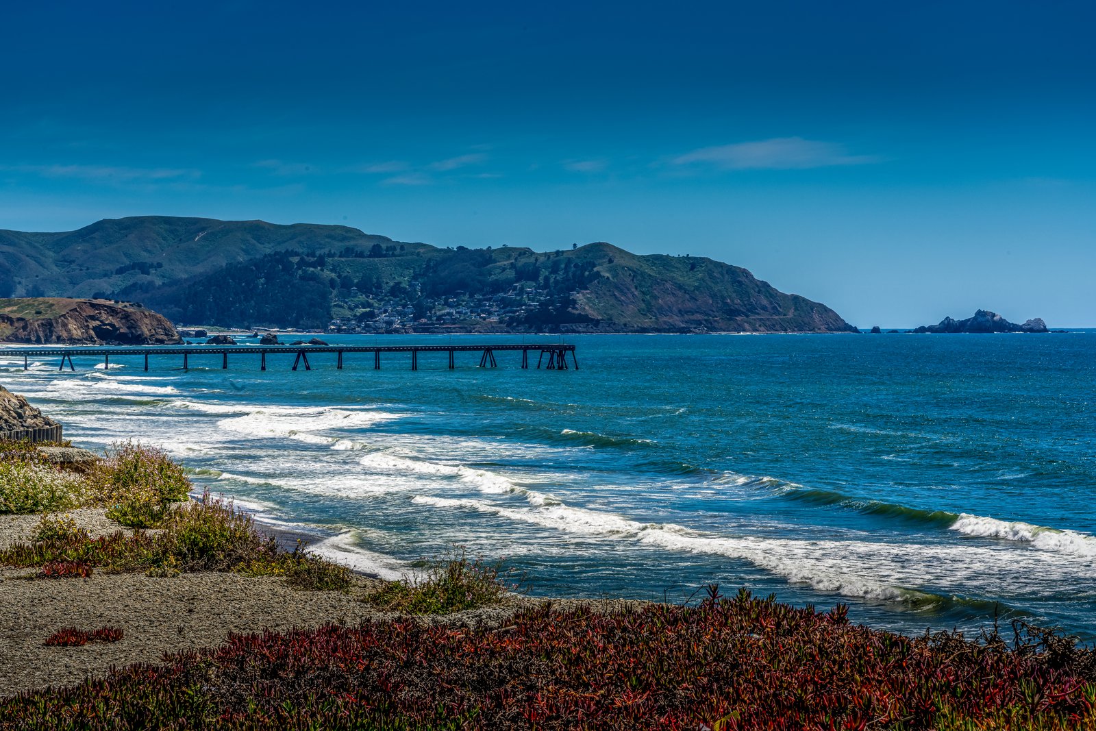 Pacificia California Coast