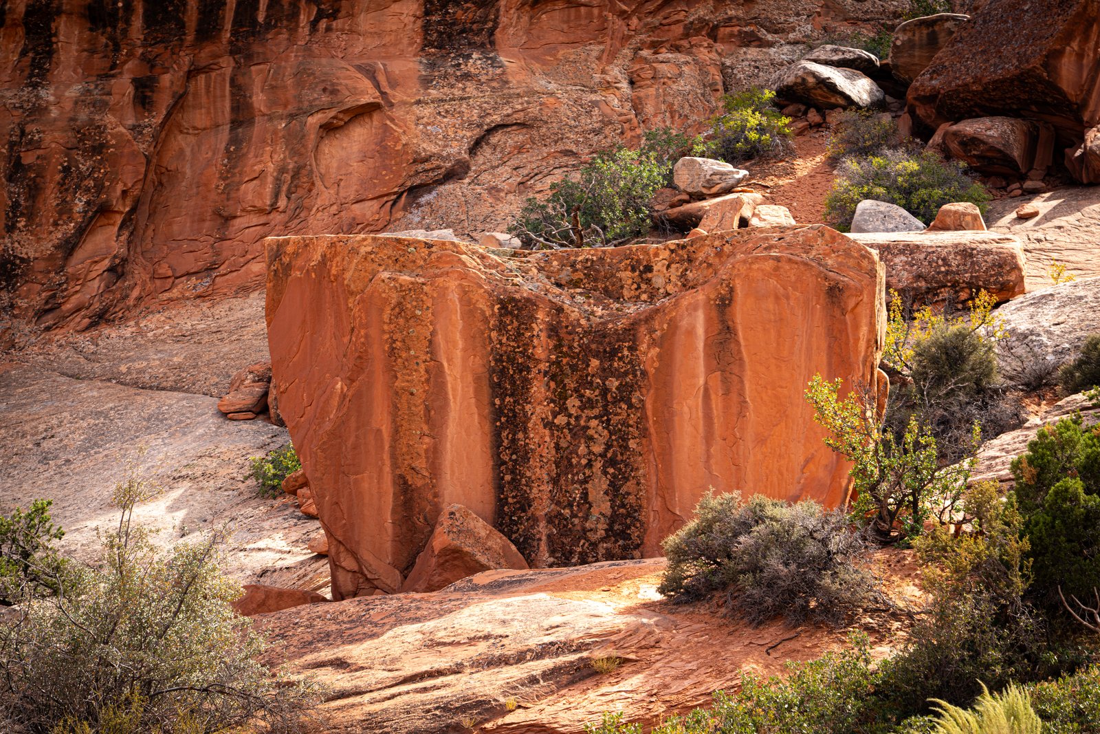 Arches, Bryce Canyon, Moab & Zion National Park - Utah