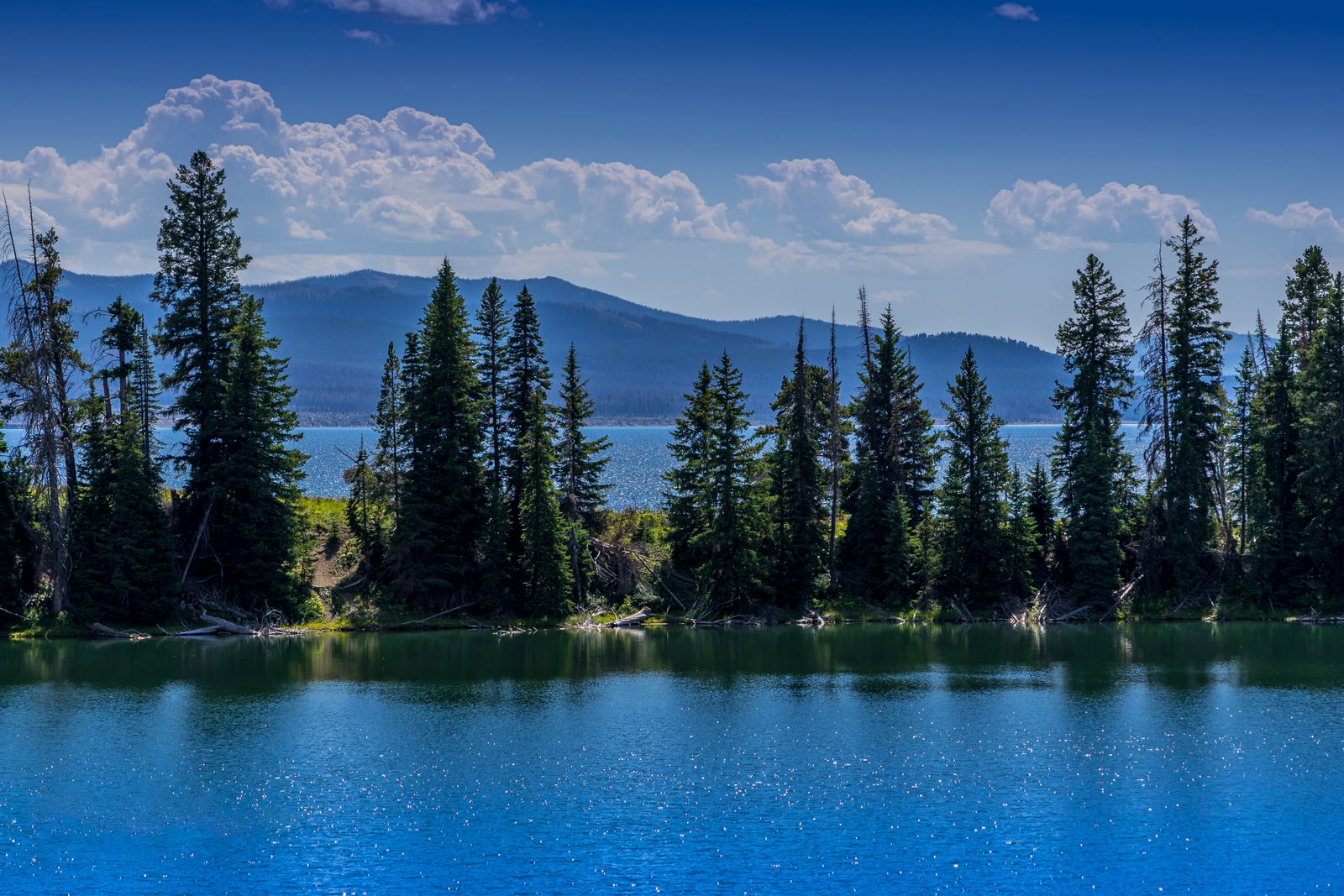 Lake Cody Wyoming