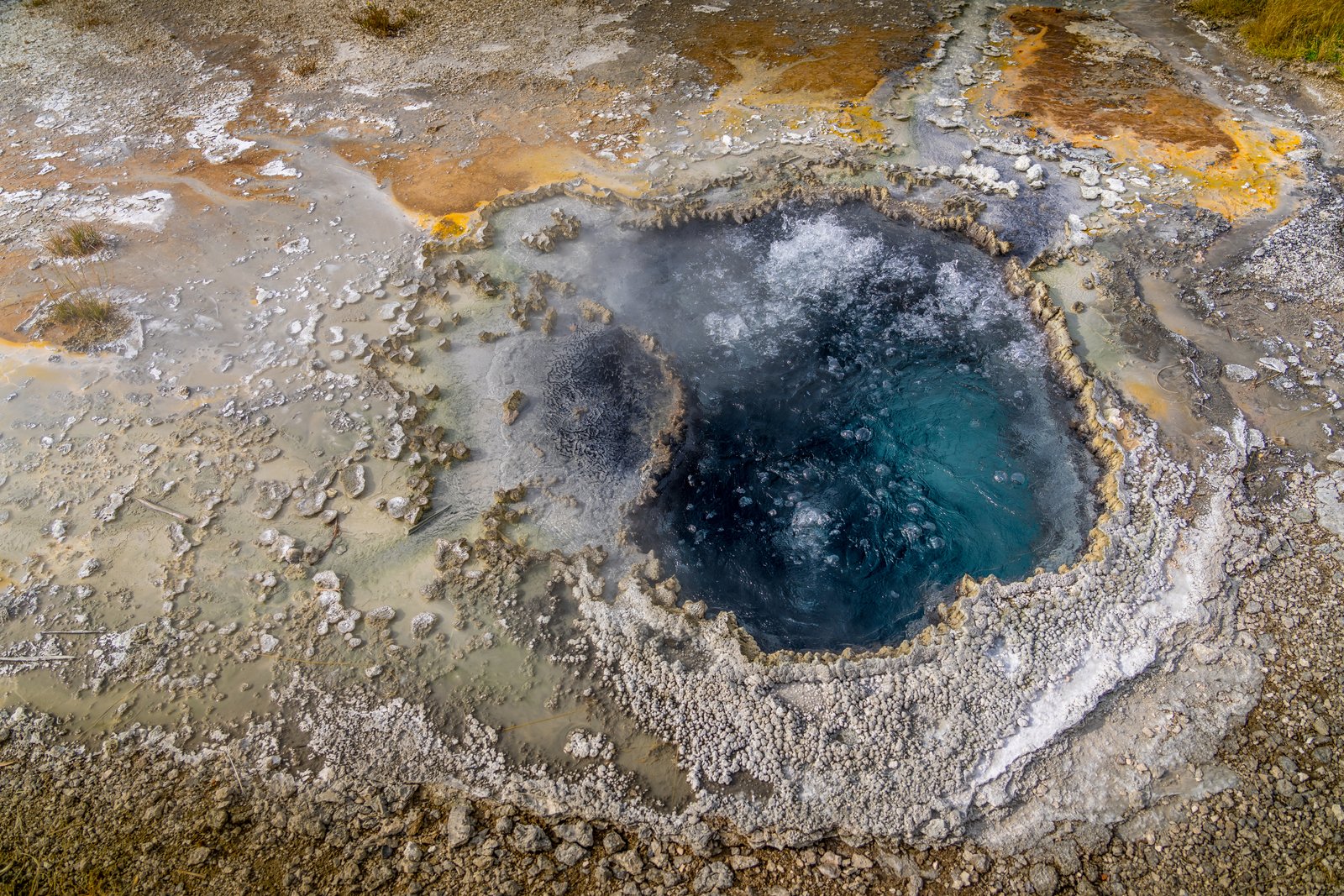 Yellowstone Geyser