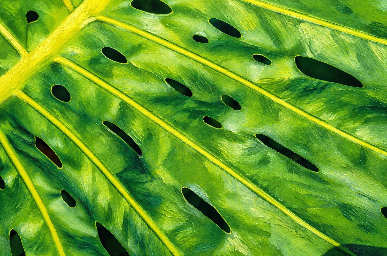 1359 Holy Leaf, Painterly