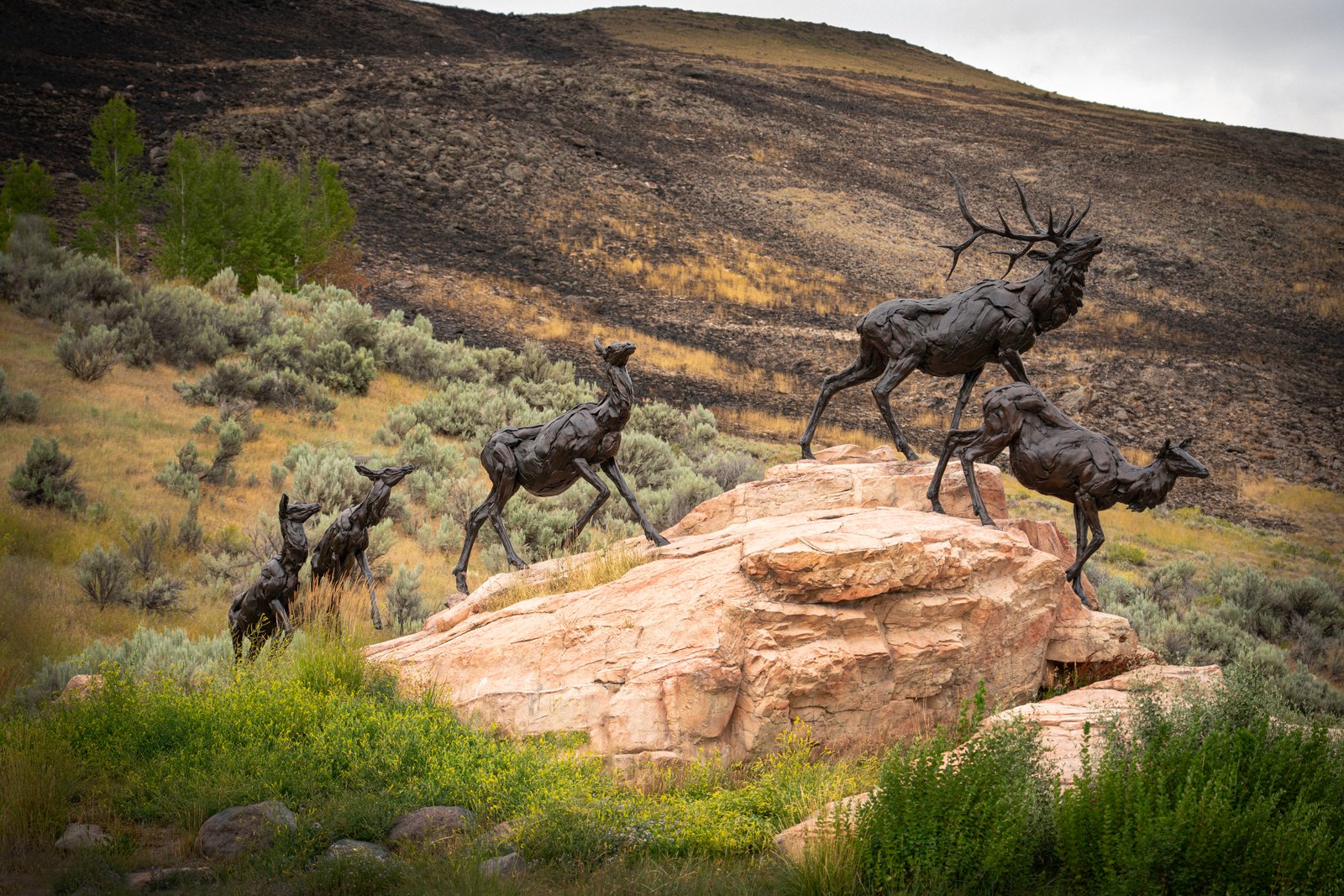 Bart Walter's Bronze Sculpture Wapiti Trail