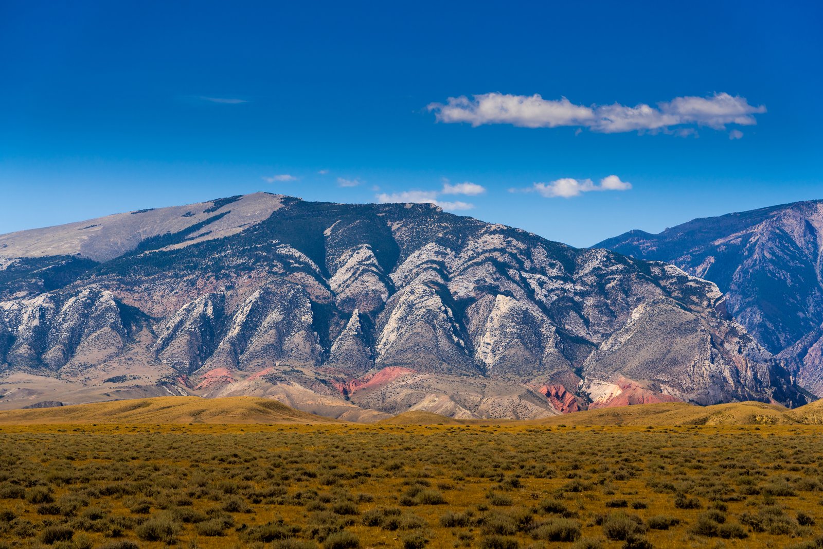 Clark's Fork Cody Wyoming