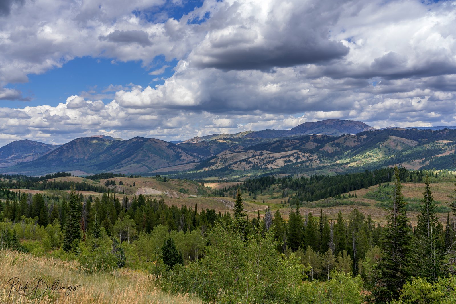 Jackson WY Scenic