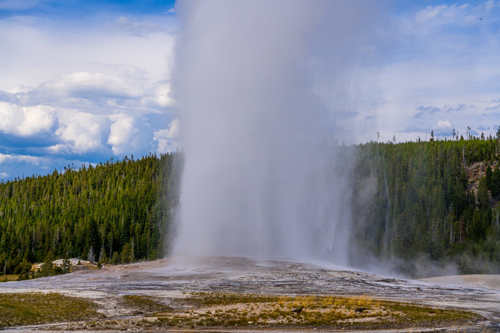 Old Faithful