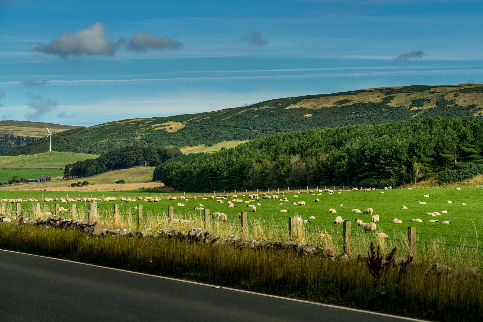 Scotland