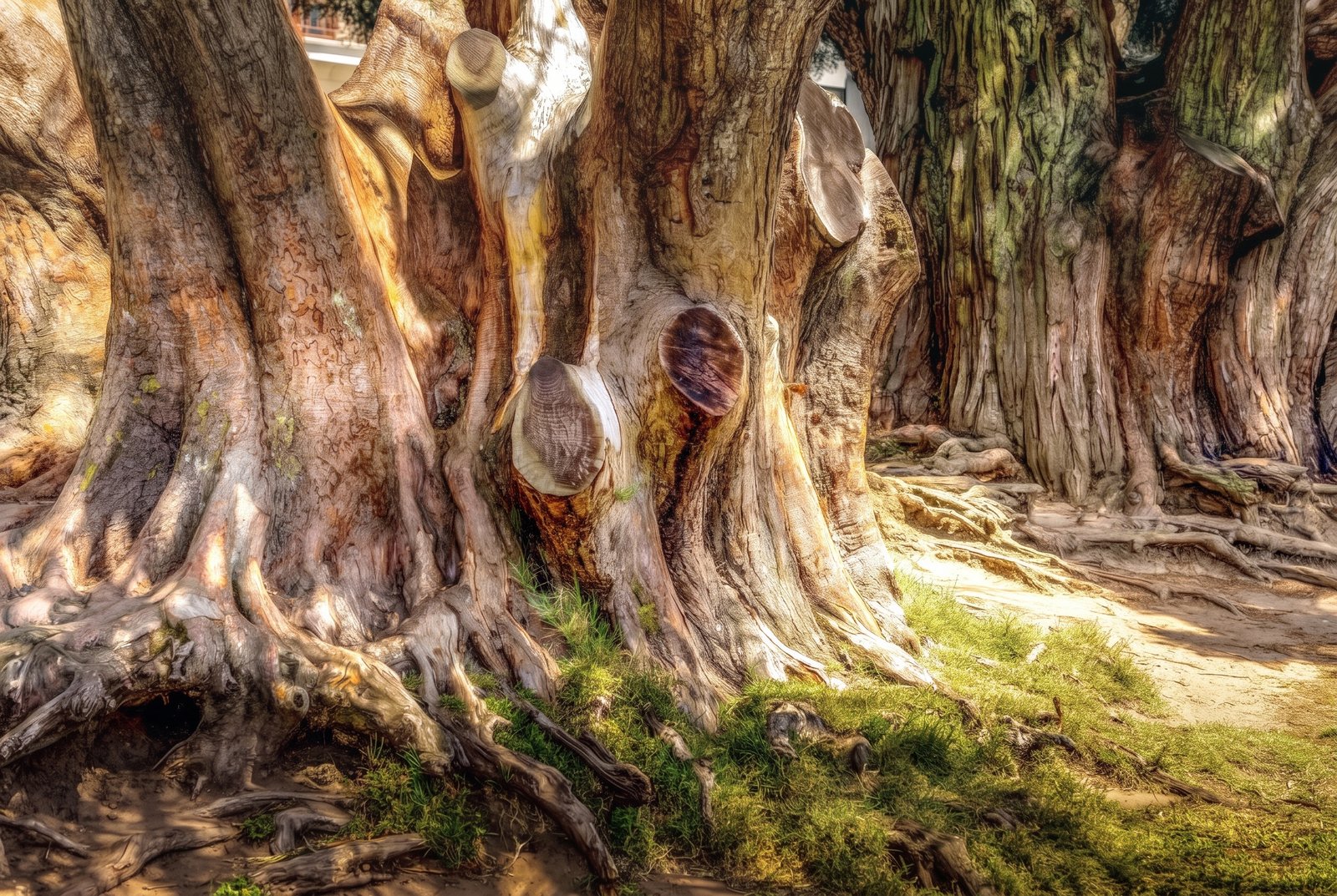 Tree Of Life, Watercolor
