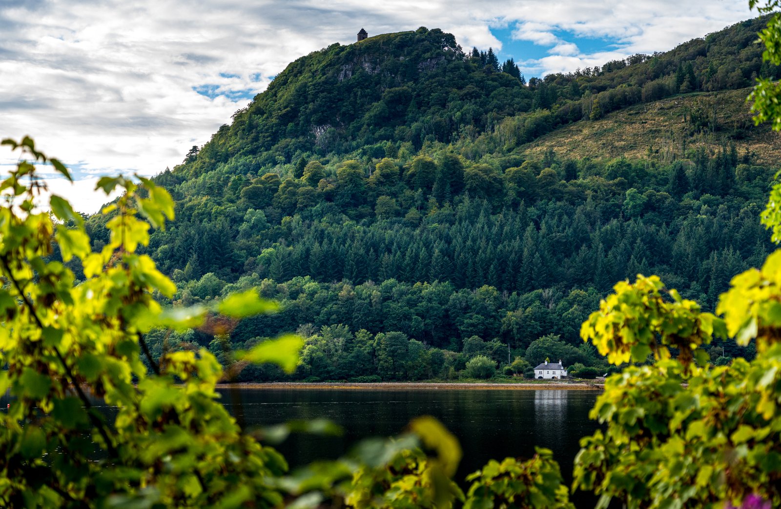 Scotland