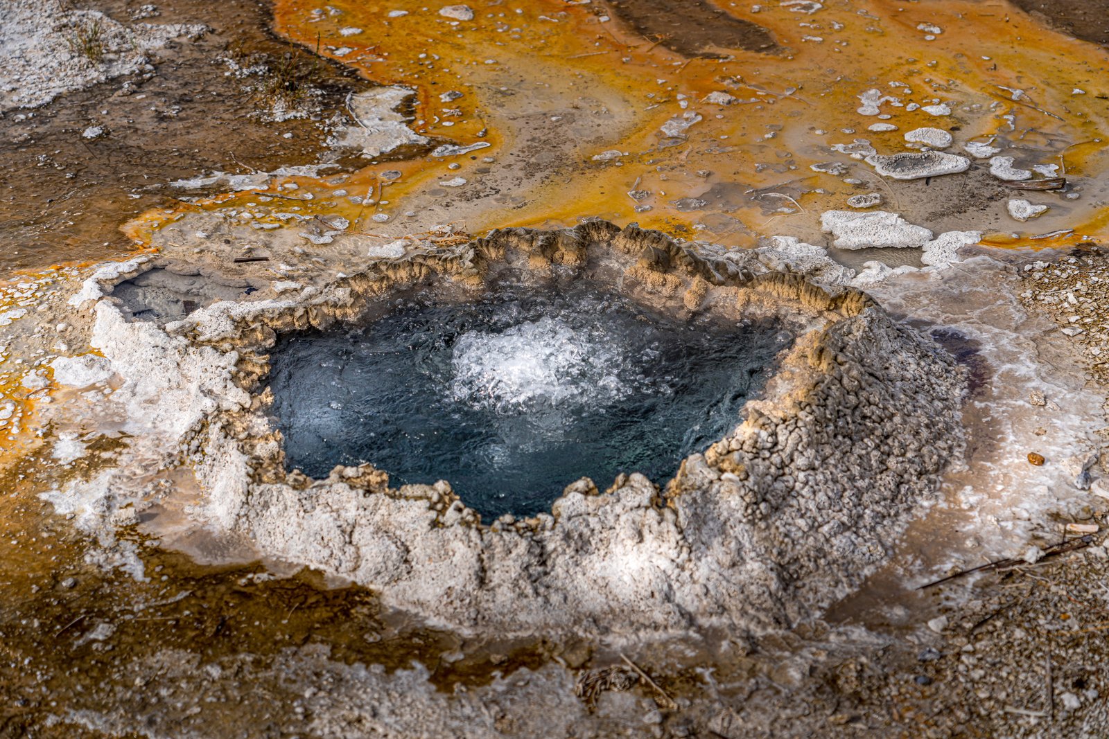 Yellowstone Geyser