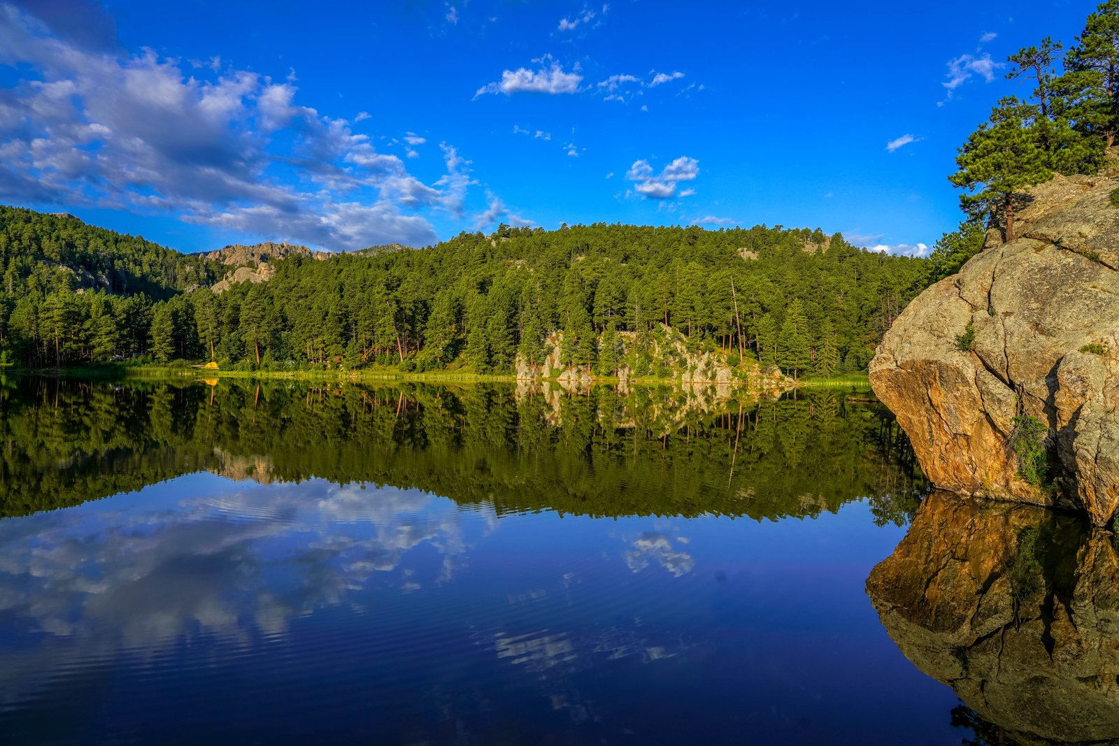 Horsethief Lake in the Black Hills