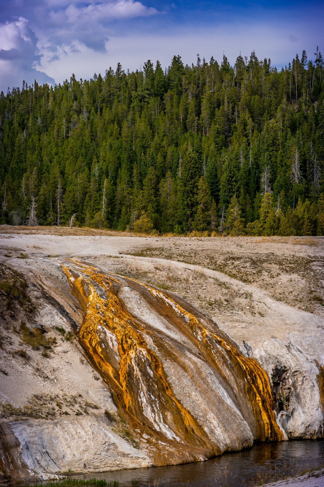Yellowstone