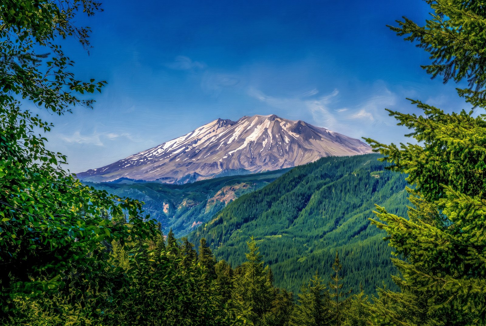 Mt Rainier Washington, Painterly