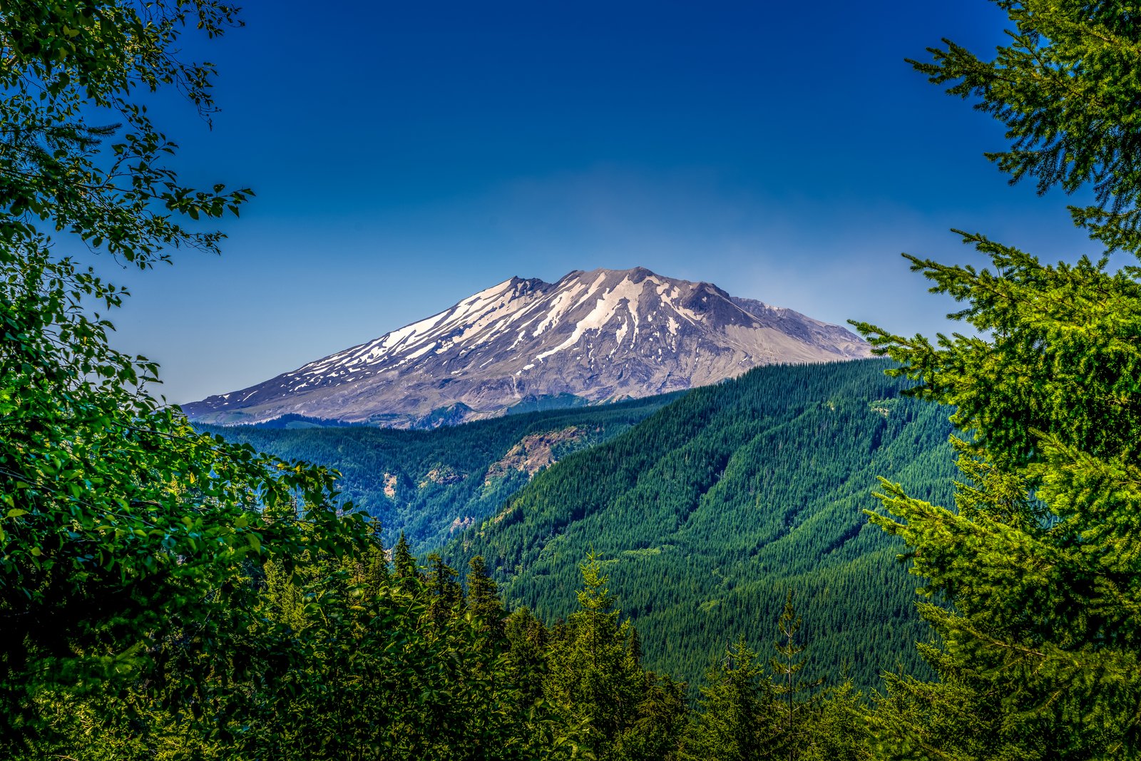 Mt Rainier Washington