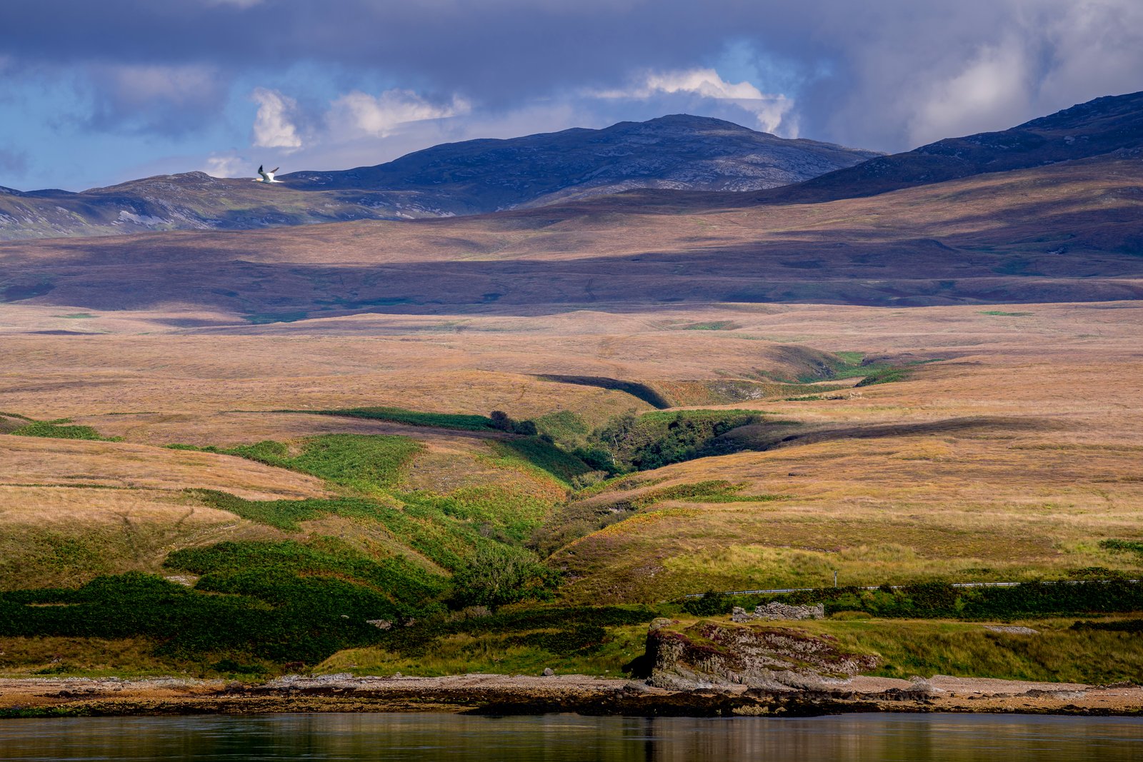 Scotland