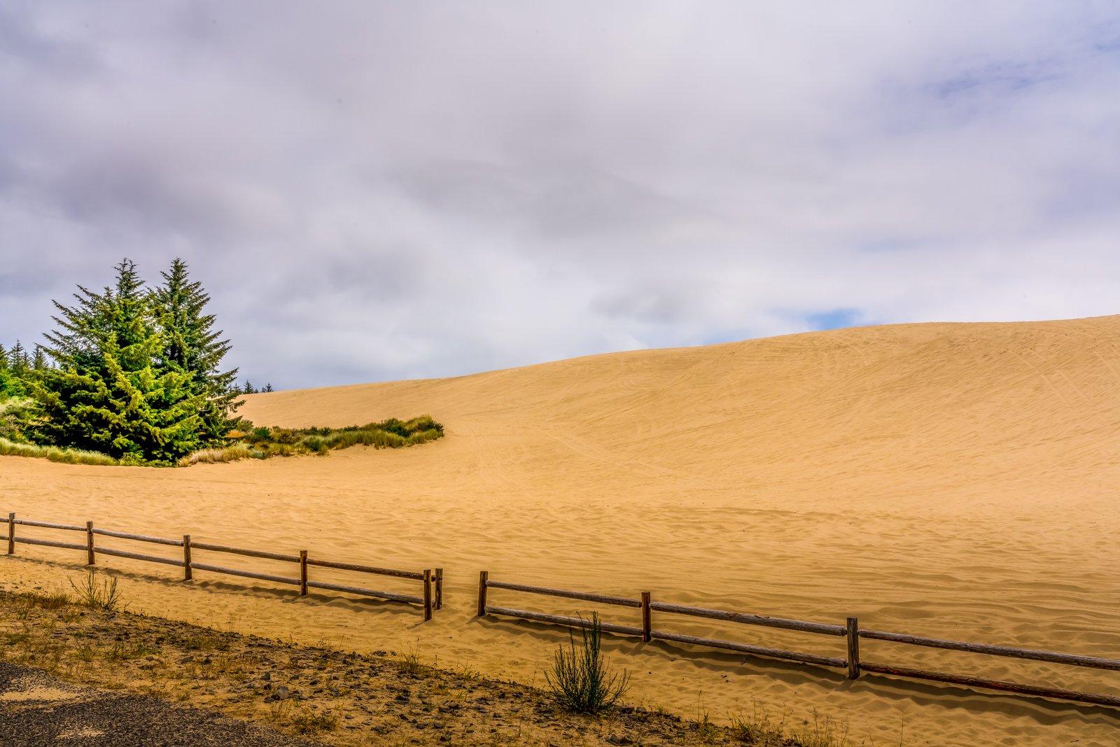 Oregon Dunes