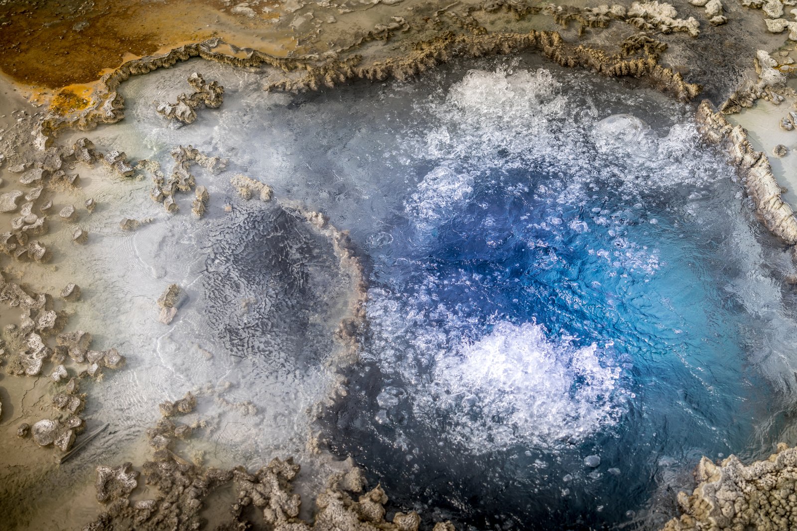 Blue Star Springs