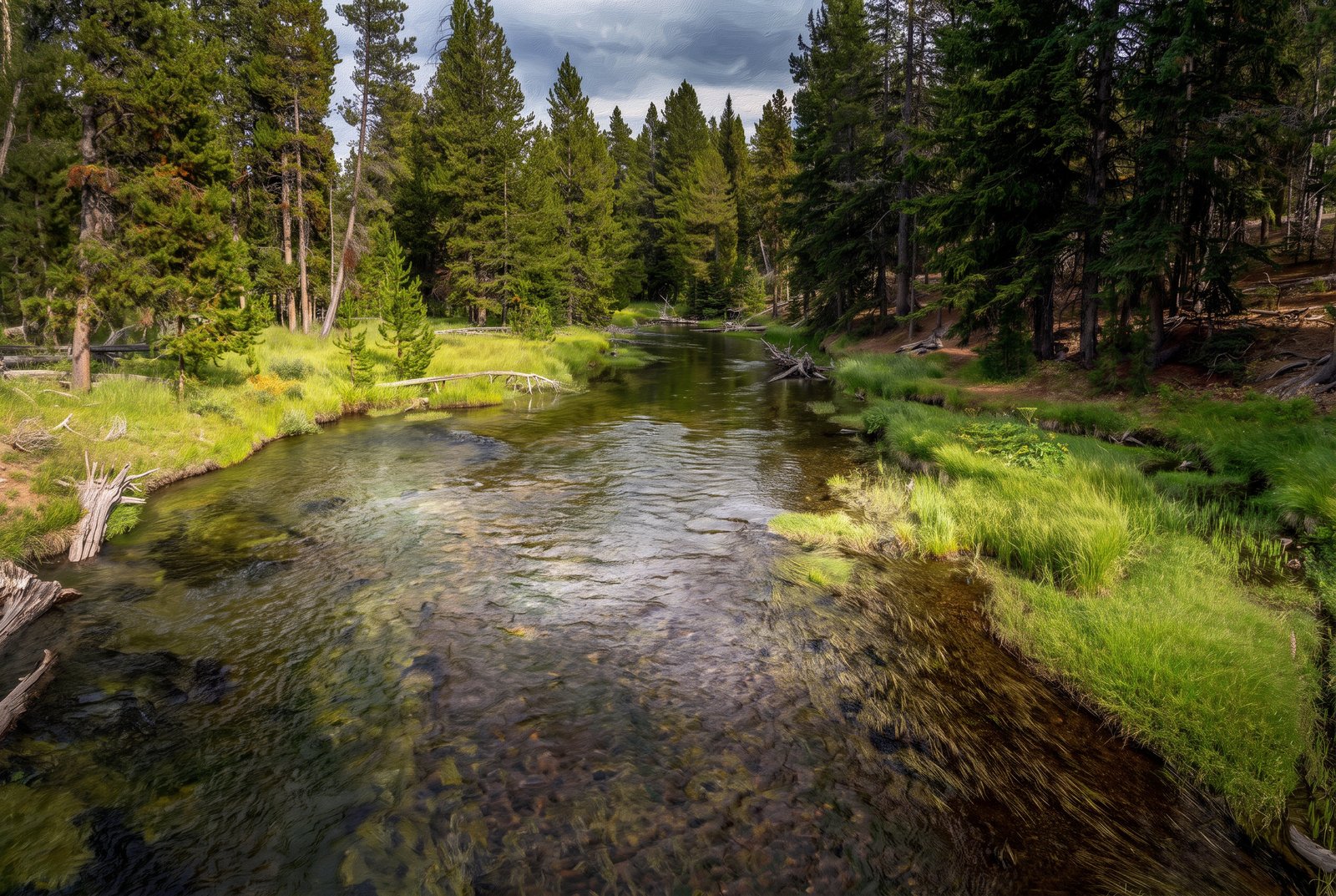 Yellowstone National Park, Wyoming