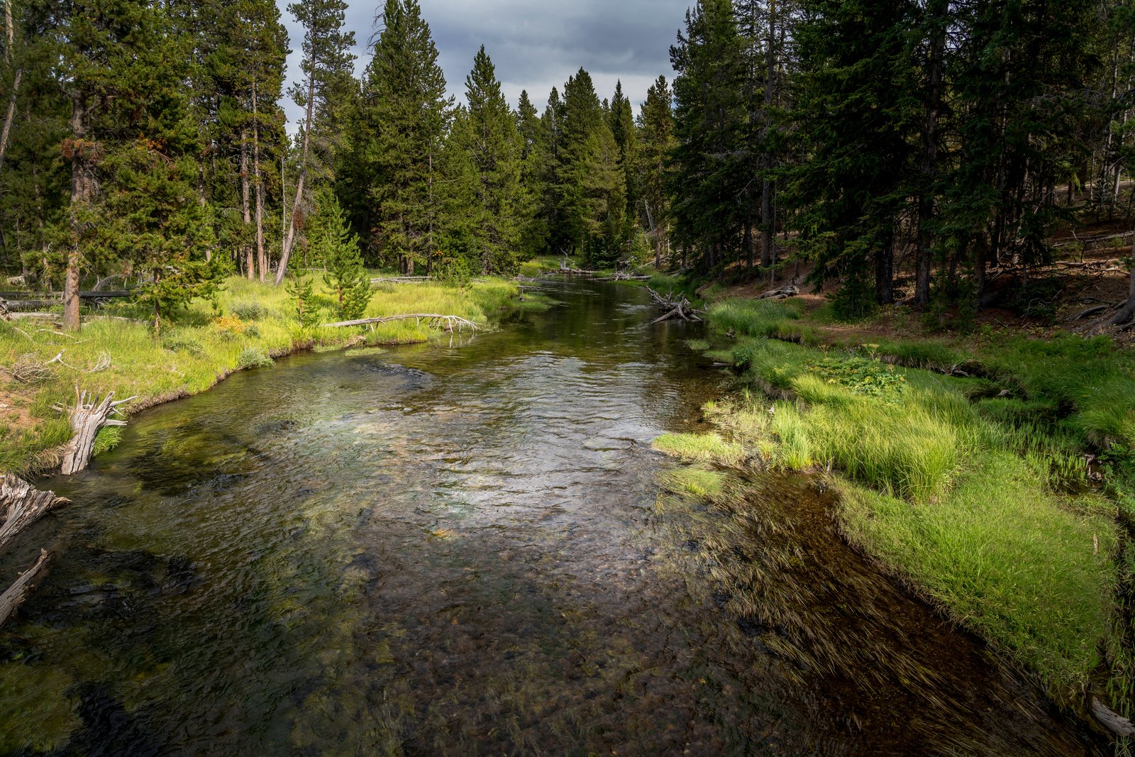 Yellowstone River