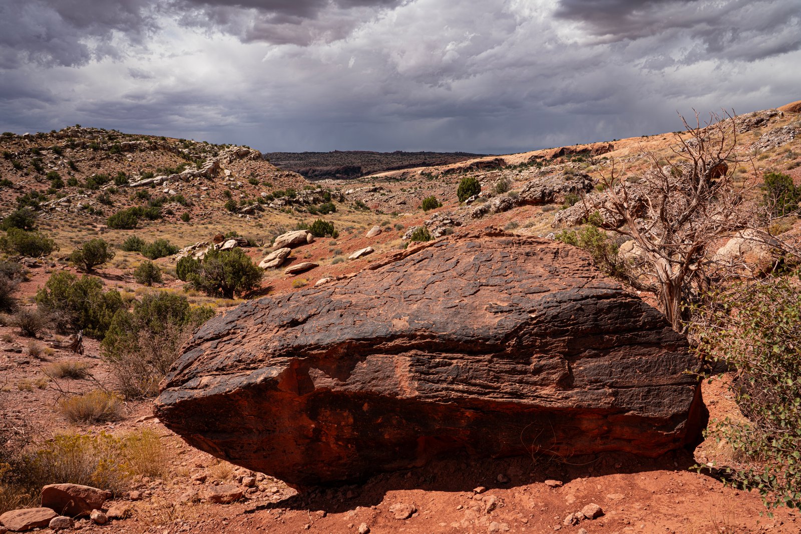 Arches, Bryce Canyon, Moab & Zion National Park - Utah