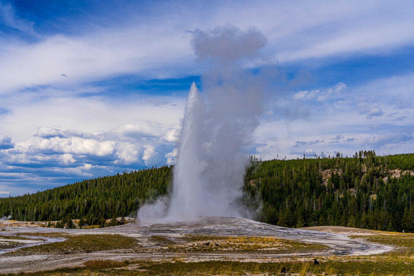 Old Faithful